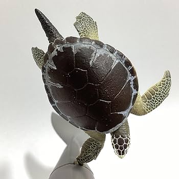 動物の惑星　アオウミガメ　フィギュア Yahoo!オークション - 【動物の惑星】「中国限定」アオウミガメ